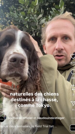 Field Trial : quand une polémique menace la sélection de nos chiens de chasse