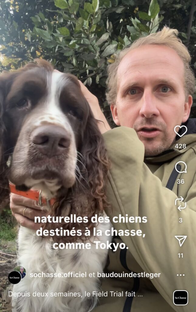 Field Trial : quand une polémique menace la sélection de nos chiens de chasse