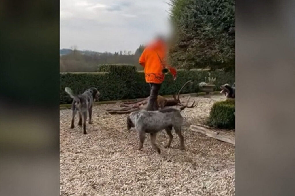 Affaire du cerf achevé chez Luc Besson