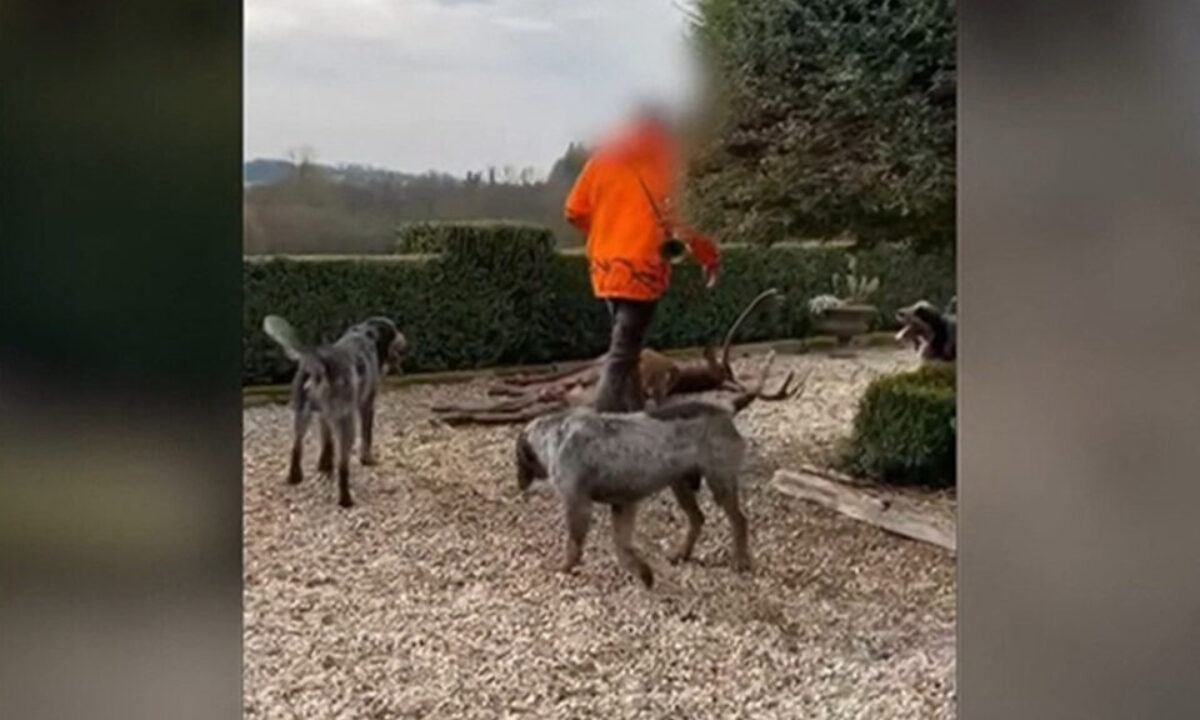 Affaire du cerf achevé chez Luc Besson