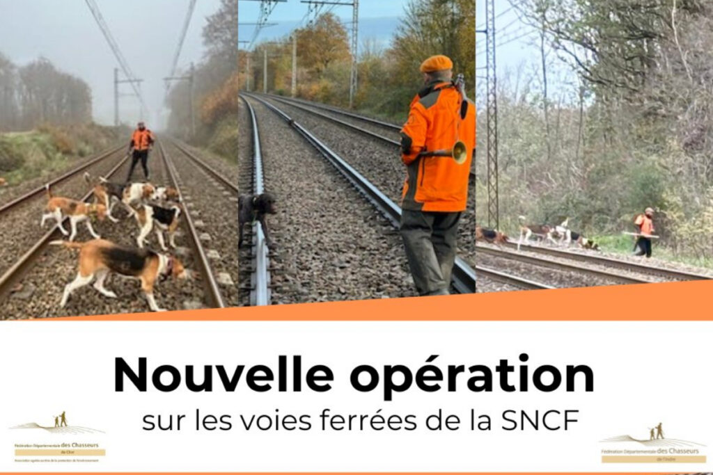 Battue aux abords des voies SNCF FDC 18 FDC 36