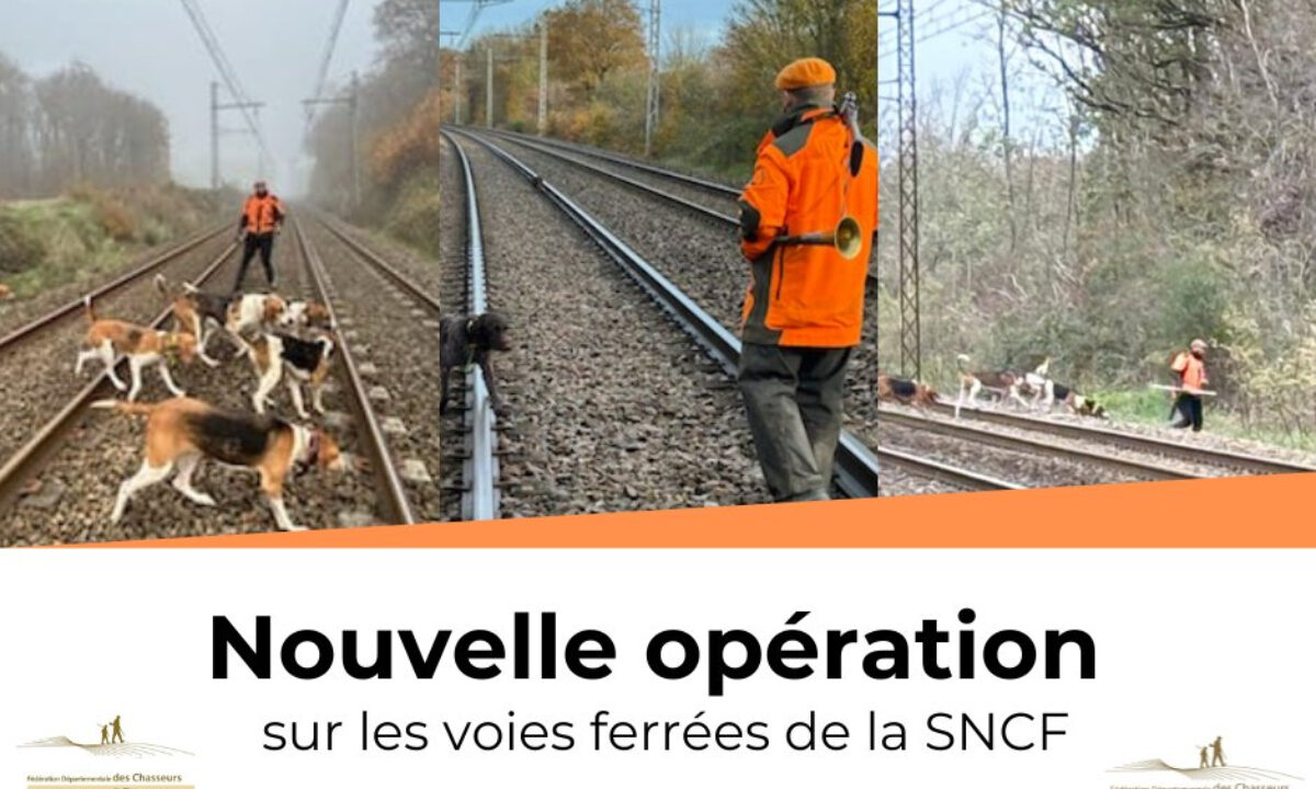 Battue aux abords des voies SNCF FDC 18 FDC 36