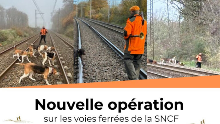 Battue aux abords des voies SNCF FDC 18 FDC 36
