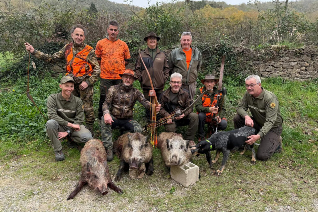 Battue sanglier chasseurs à l'arc