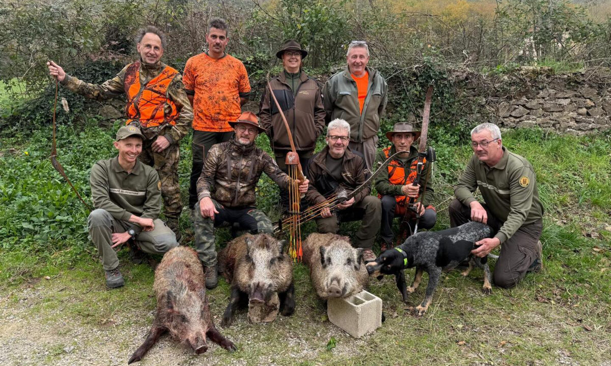Battue sanglier chasseurs à l'arc