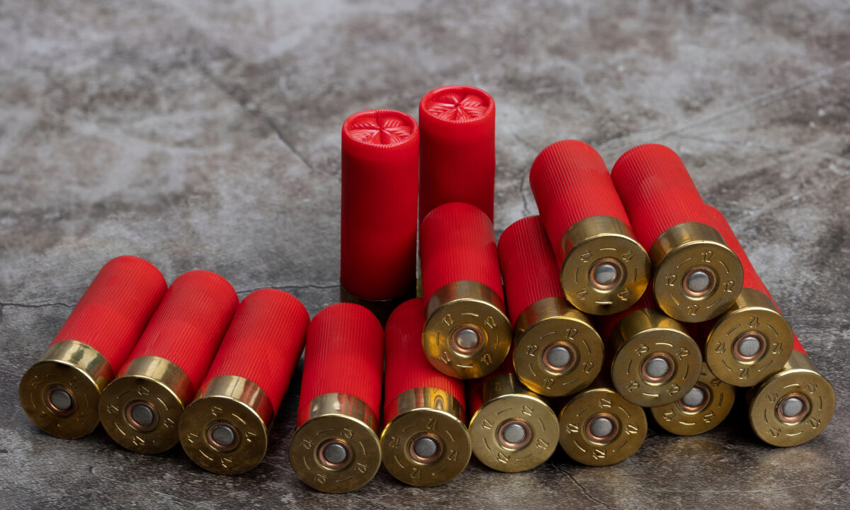 Cartouches de chasse calibre 12/70