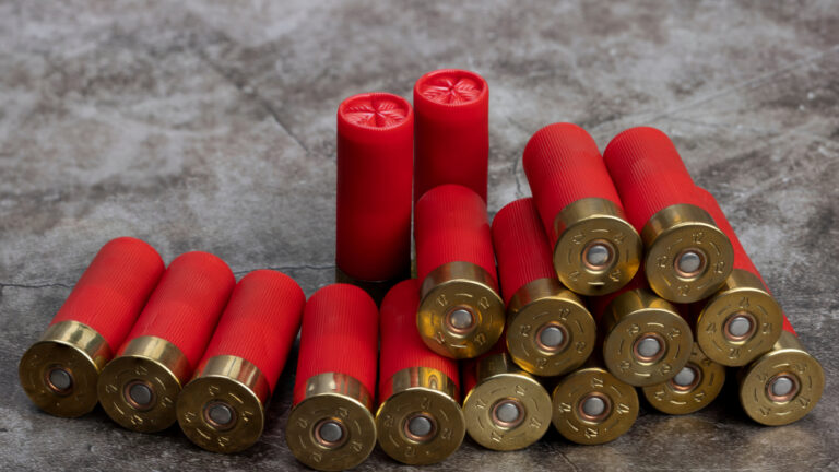 Cartouches de chasse calibre 12/70