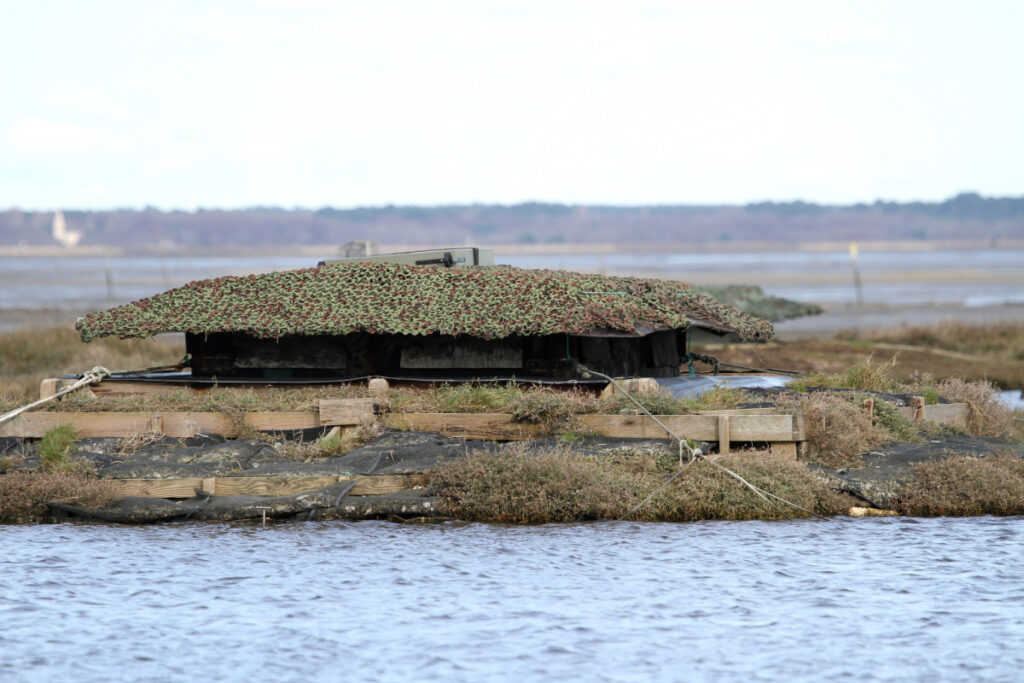 Gabion, chasse au gibier d'eau
