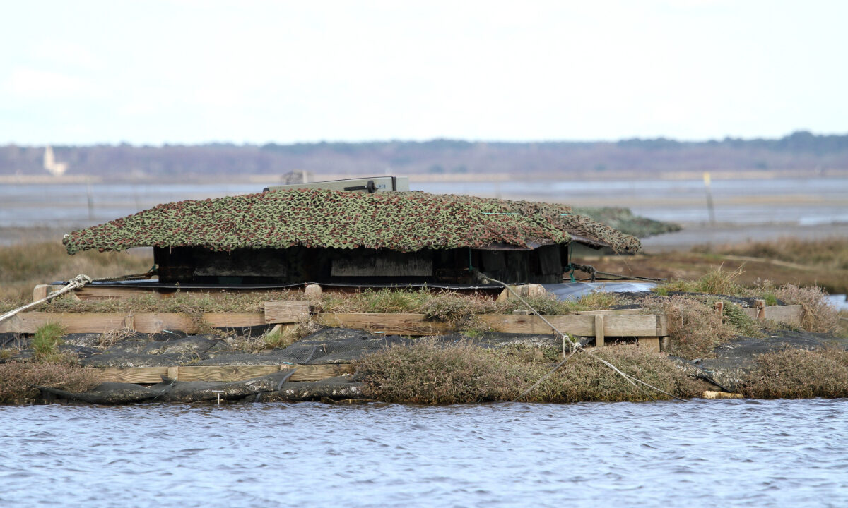 Gabion, chasse au gibier d'eau