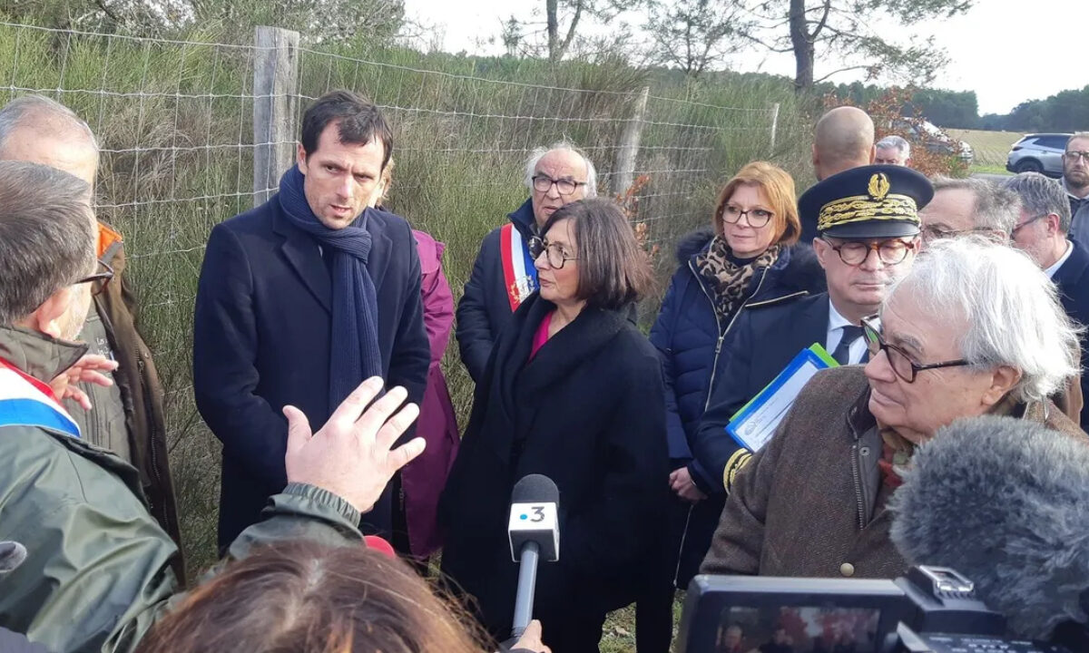 Mathieu Lefevre, le ministre délégué chargé de la Transition écologique