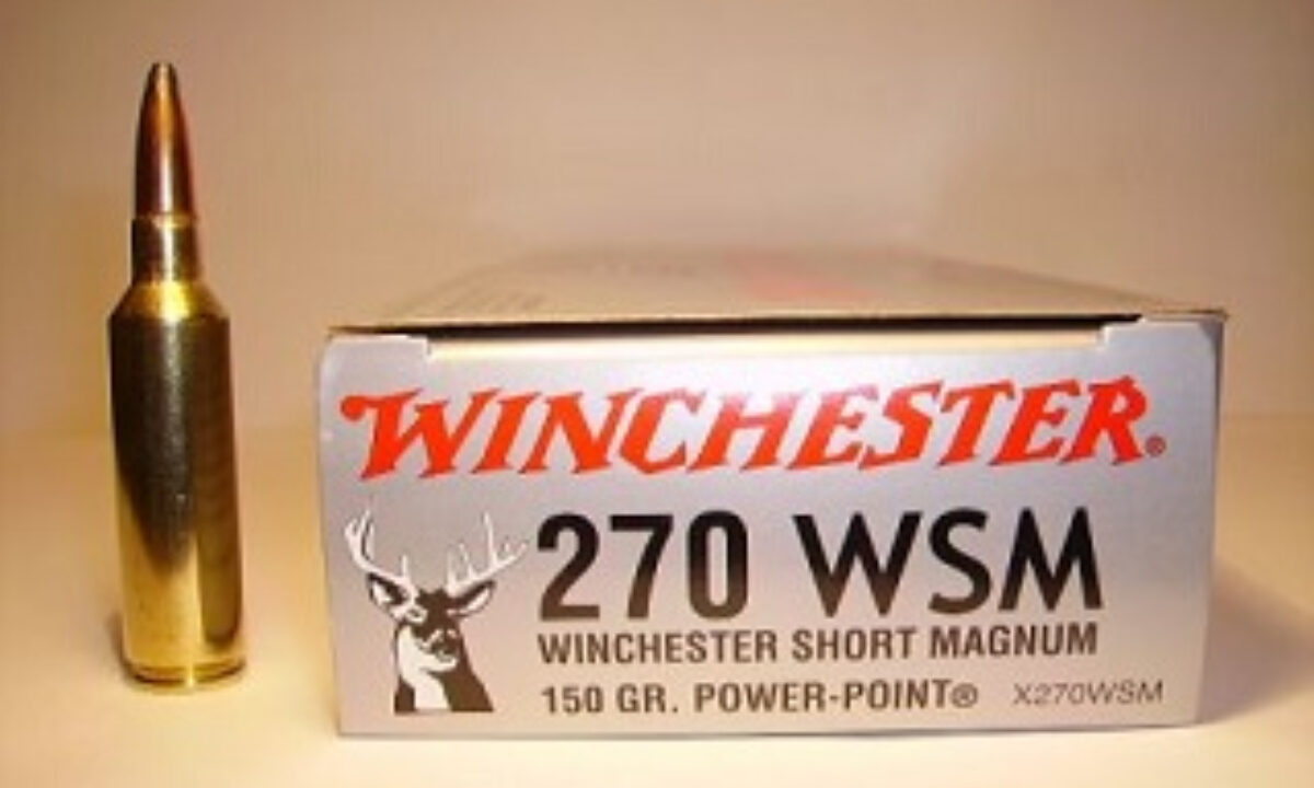 Munitions calibre.270 WSM