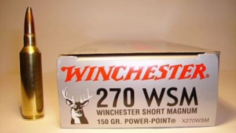 Munitions calibre.270 WSM