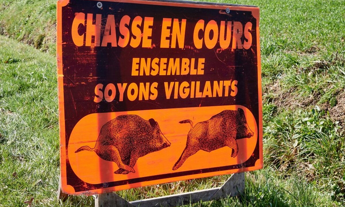 Panneau Chasse en cours