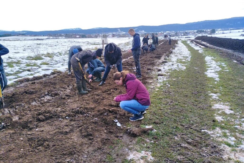 Plantation de haies dans le Doubs