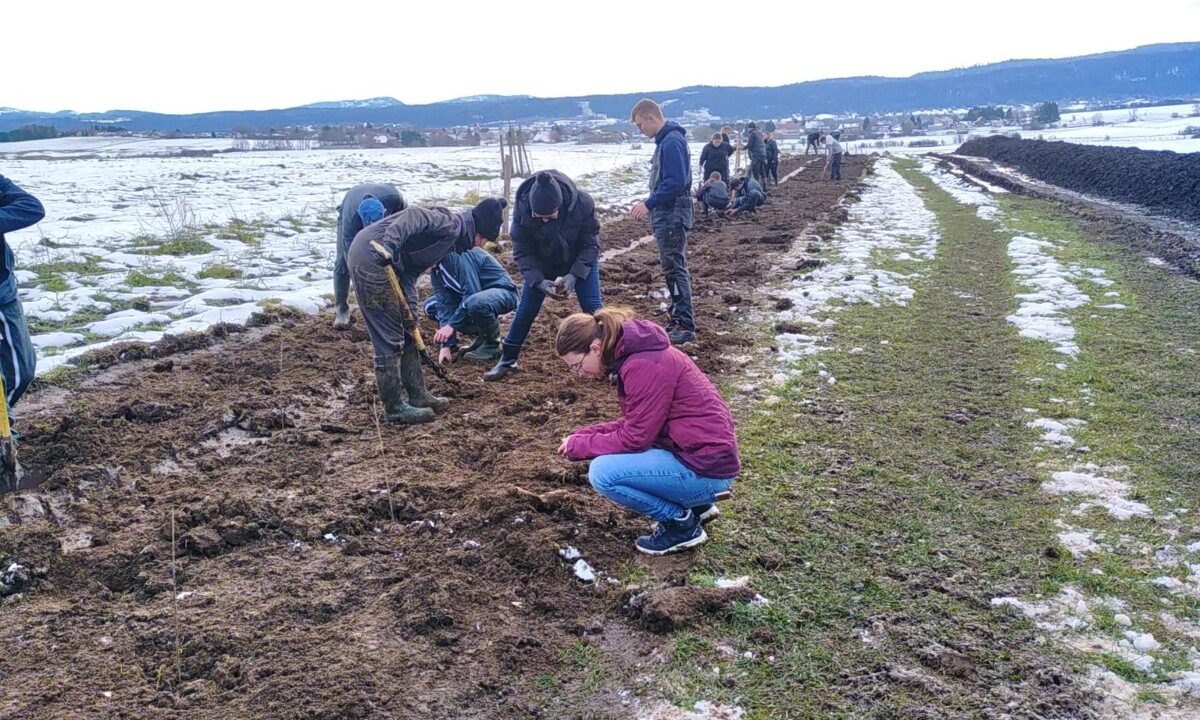 Plantation de haies dans le Doubs