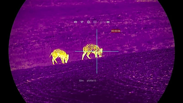 Sangliers Lunette thermique