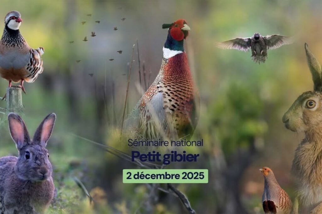 Séminaire national Petit Gibier 2025 FNC