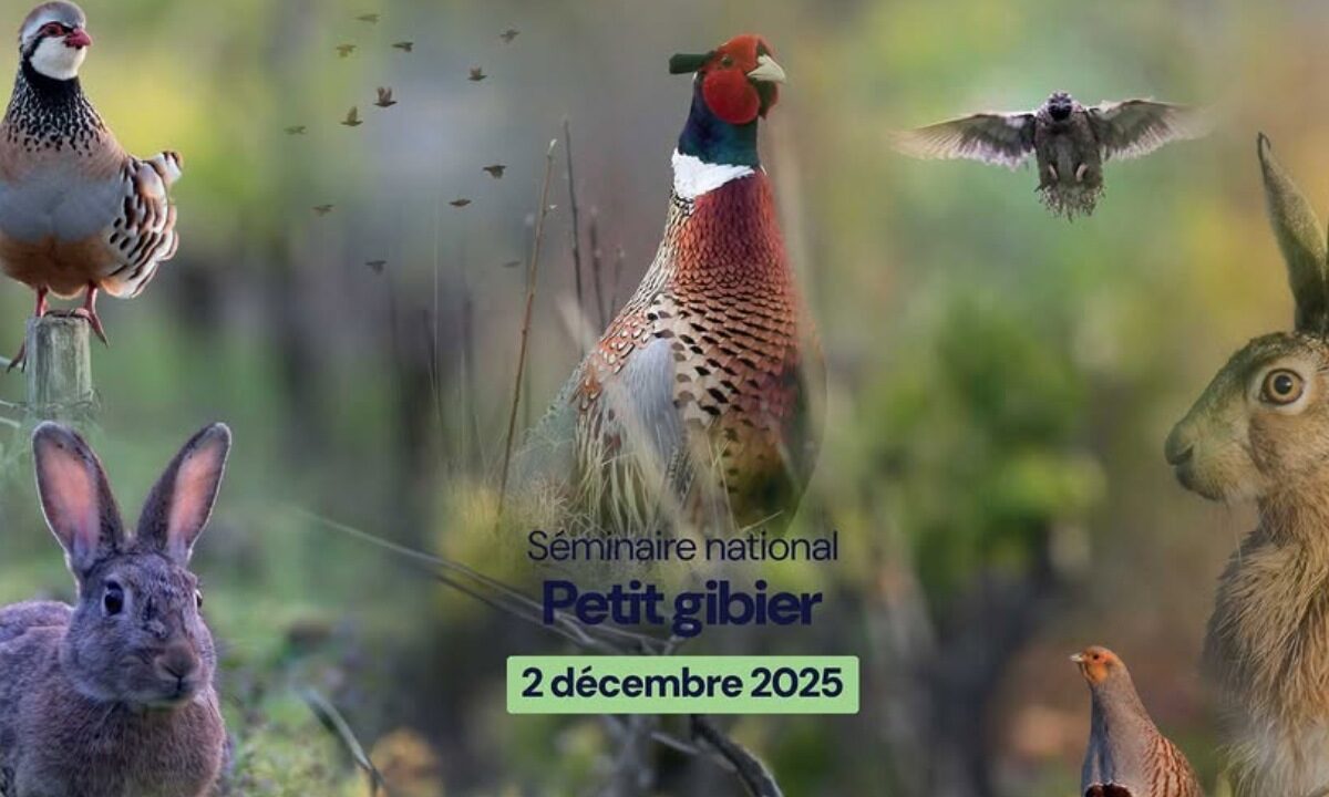 Séminaire national Petit Gibier 2025 FNC