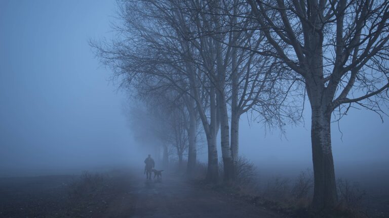 Val-d’Oise: un chasseur perd la vie en voulant sauver son chien