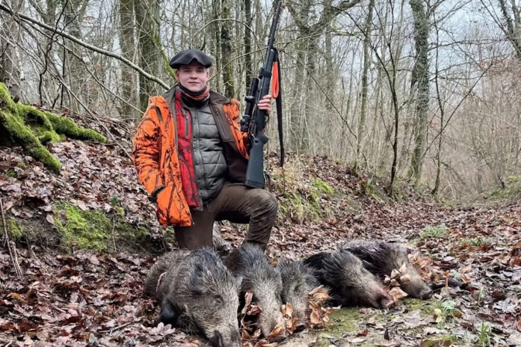5 sangliers au même poste pour Nico p'tit chasseur de l'Est