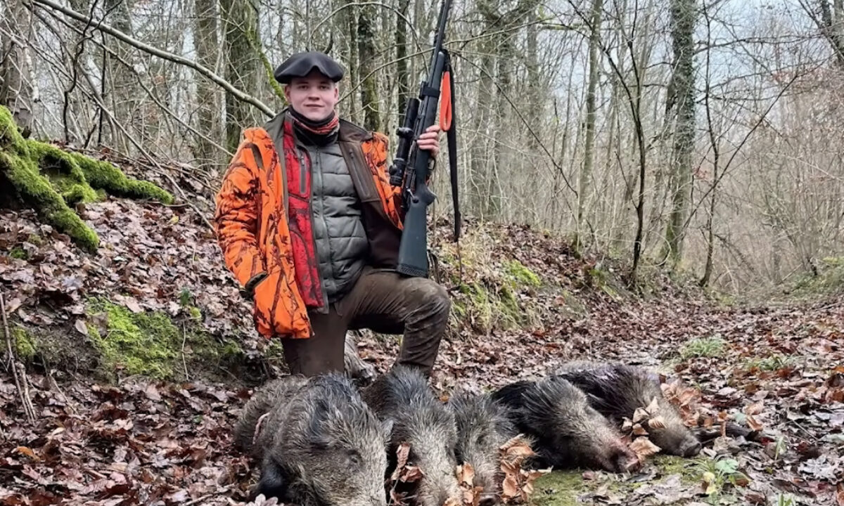 5 sangliers au même poste pour Nico p'tit chasseur de l'Est