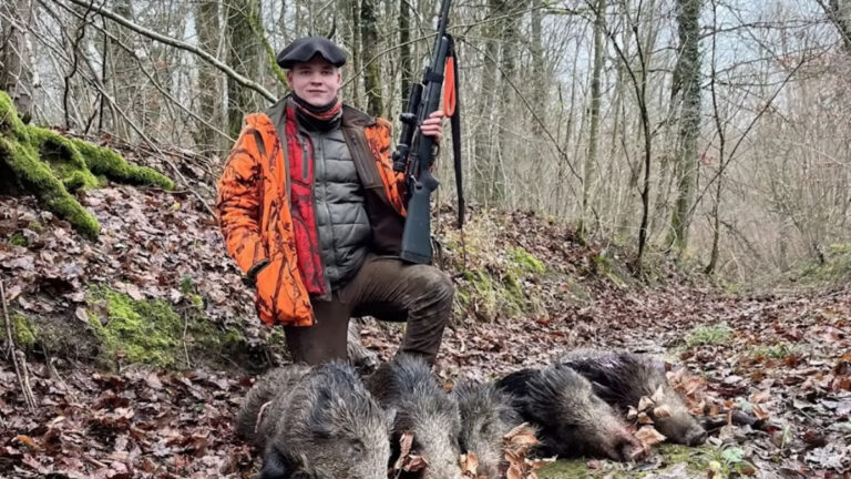 5 sangliers au même poste pour Nico p'tit chasseur de l'Est