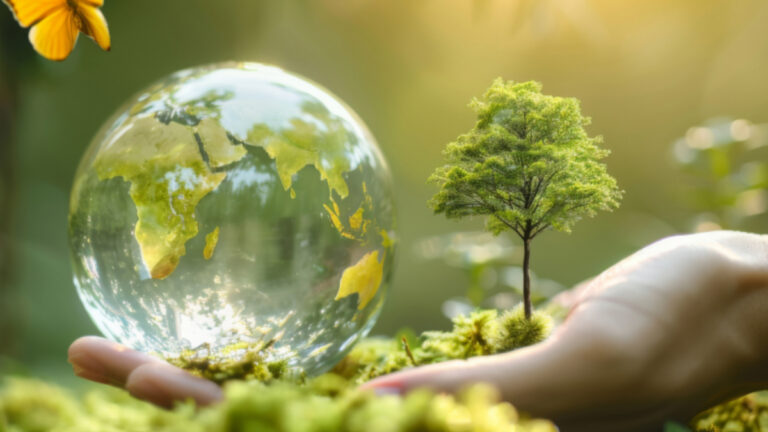 Action des chasseurs des Landes en faveur de la transition écologique