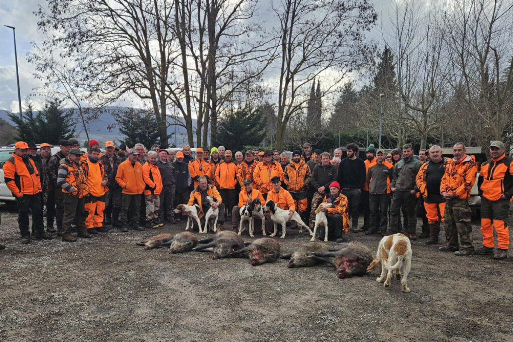 Battue administrative en ville à Millau (Aveyron)