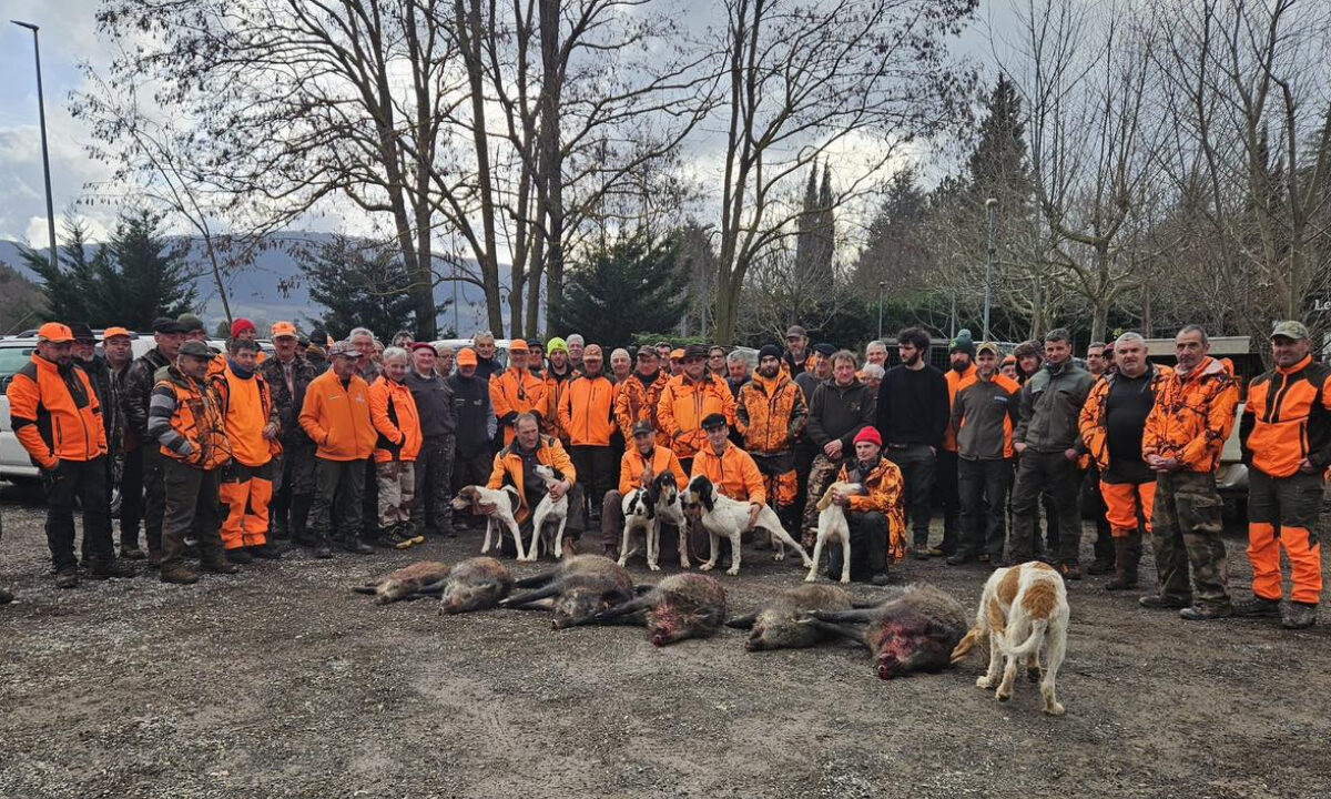 Battue administrative en ville à Millau (Aveyron)