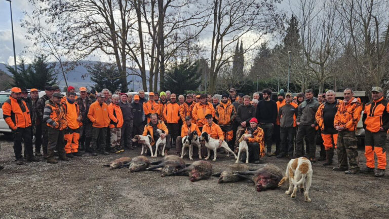 Millau : une battue d’orfèvre pour gérer les sangliers en ville