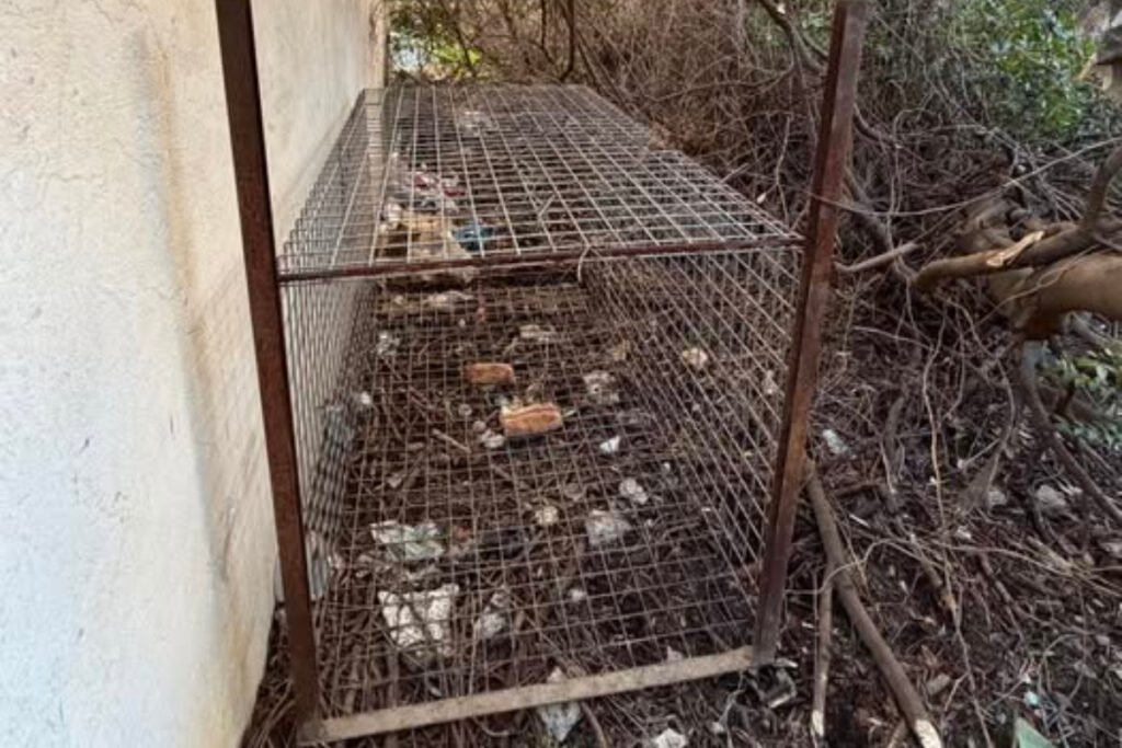 Cage piège à sanglier sabotée