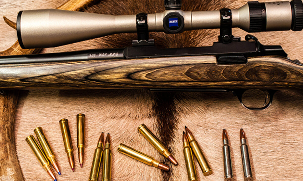 Carabine 338 Win Mag