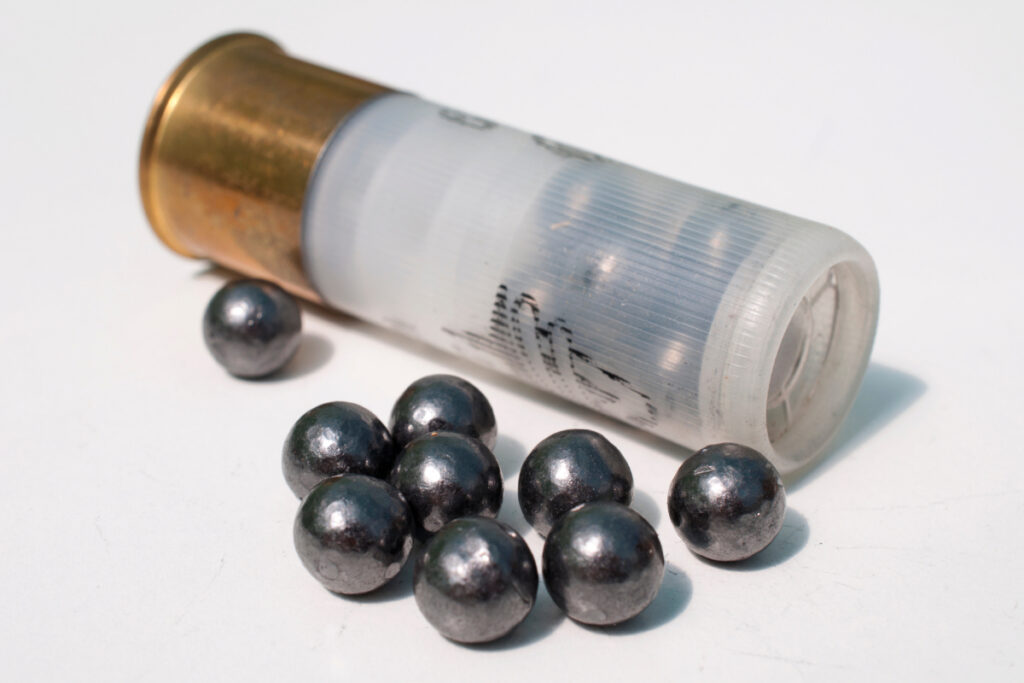 Cartouche de chevrotines 9 grains calibre 12