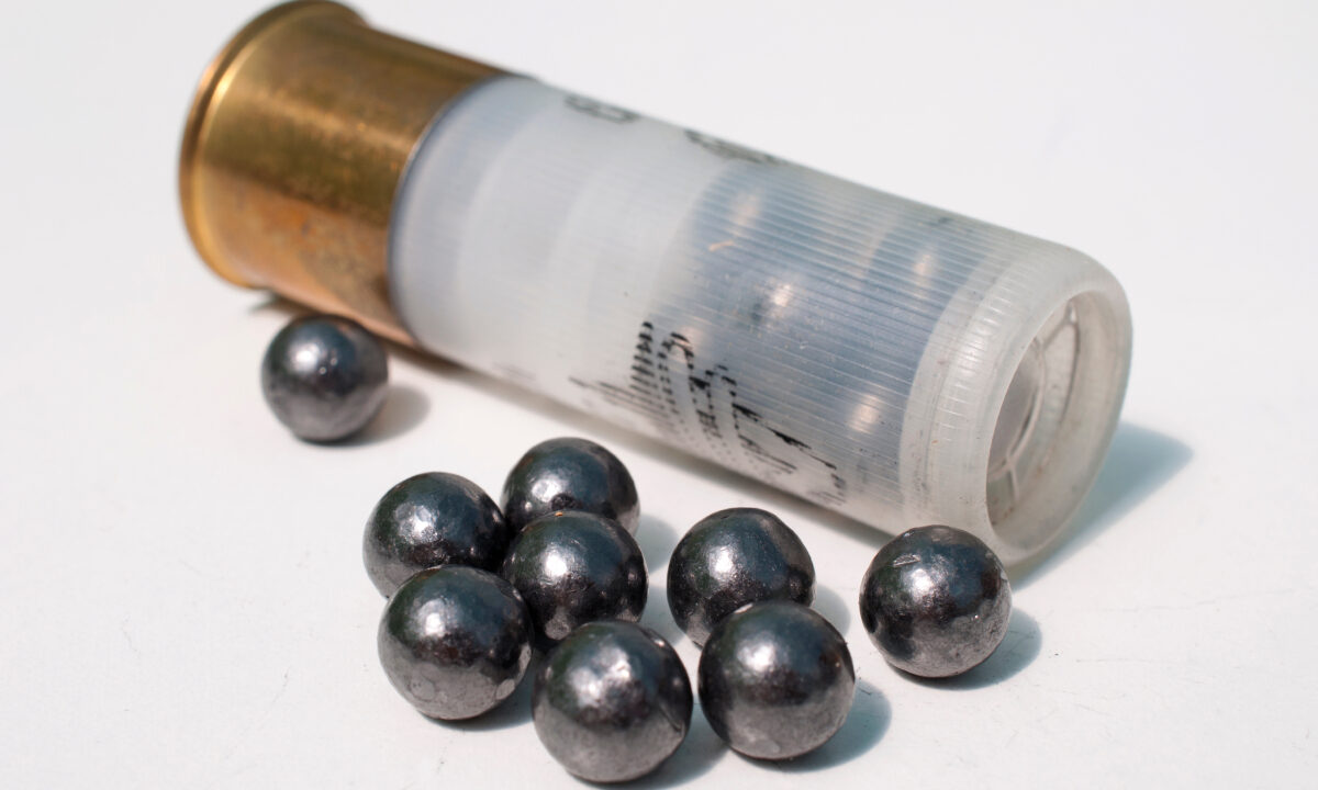 Cartouche de chevrotines 9 grains calibre 12