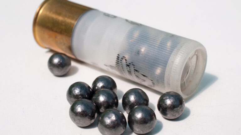 Cartouche de chevrotines 9 grains calibre 12