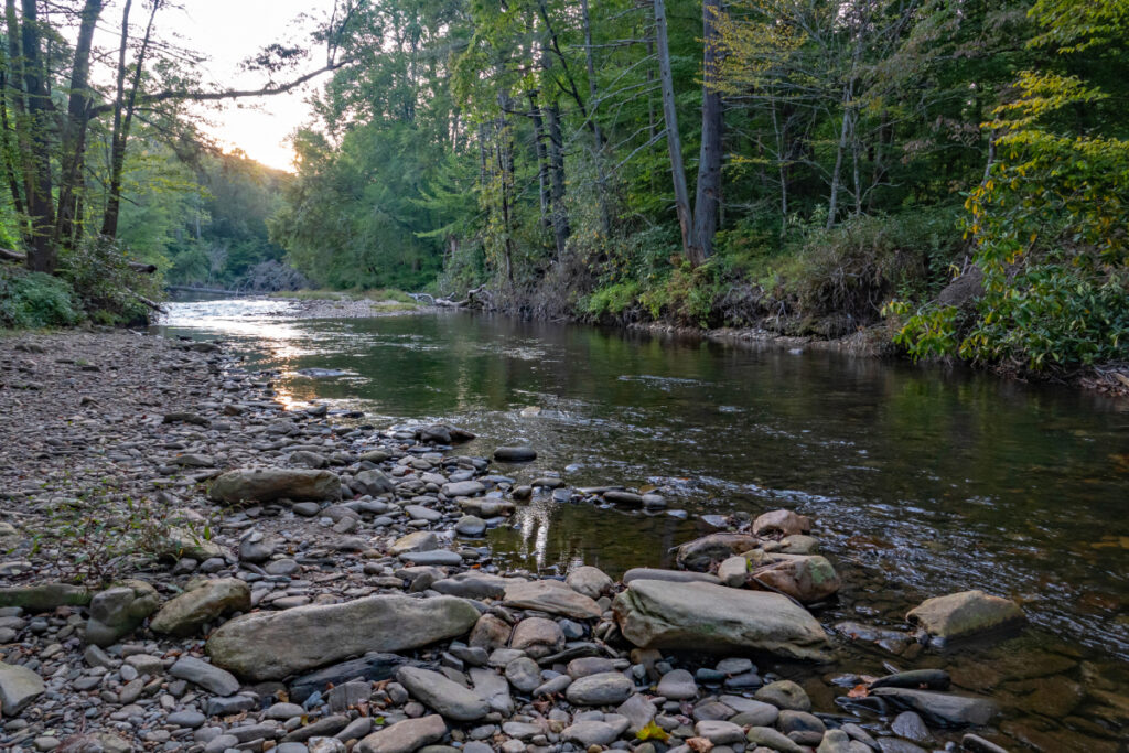 Cours d'eau en forêt