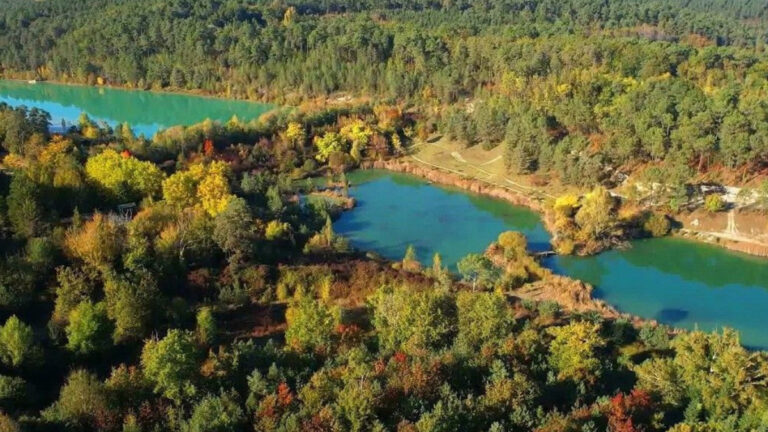 Domaine du Bûcher FDC 24