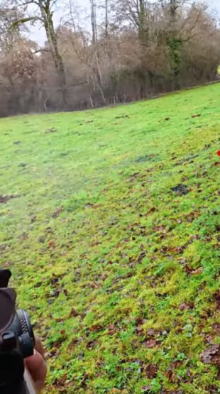 Vendée : 6 sangliers prélevés en battue, avec un doublé spectaculaire filmé en action