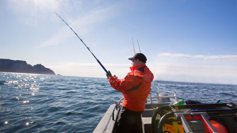 Pêche en mer
