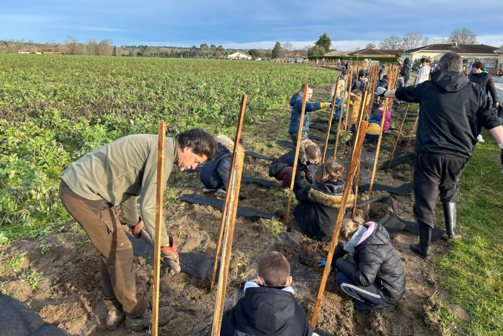 Plantation de haies avec des écoliers FDC 40