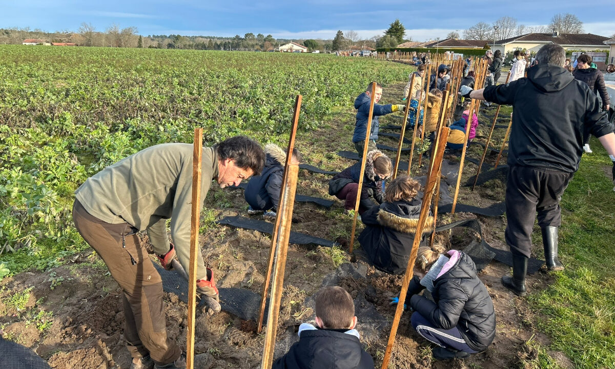 Plantation de haies avec des écoliers FDC 40