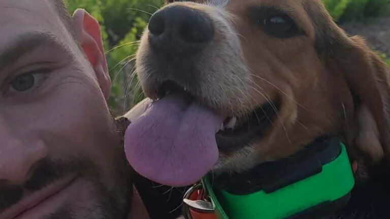 Vaucluse : le poignant témoignage du propriétaire de la chienne morte d’Aujeszky