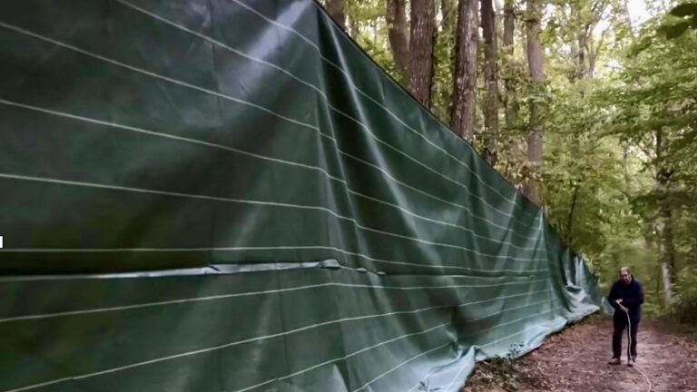 Bâche en forêt de Dreux : “Il ne s’agit ni d’un piège ni d’une entrave à la faune, mais d’un dispositif de sécurité”