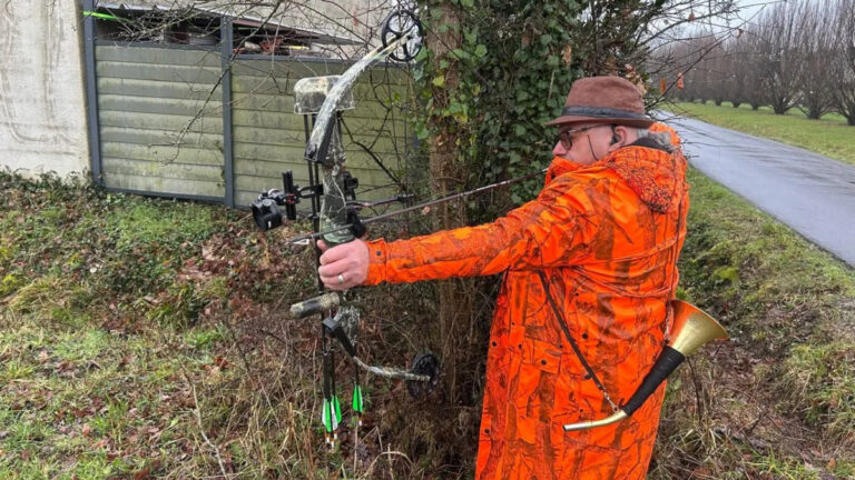 Sarthe: Battue urbaine au sanglier….à l&rsquo;arc et sans fusil !