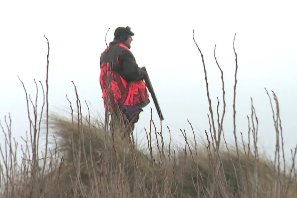 Chasseur posté lors d'une battue administrative à Sangatte