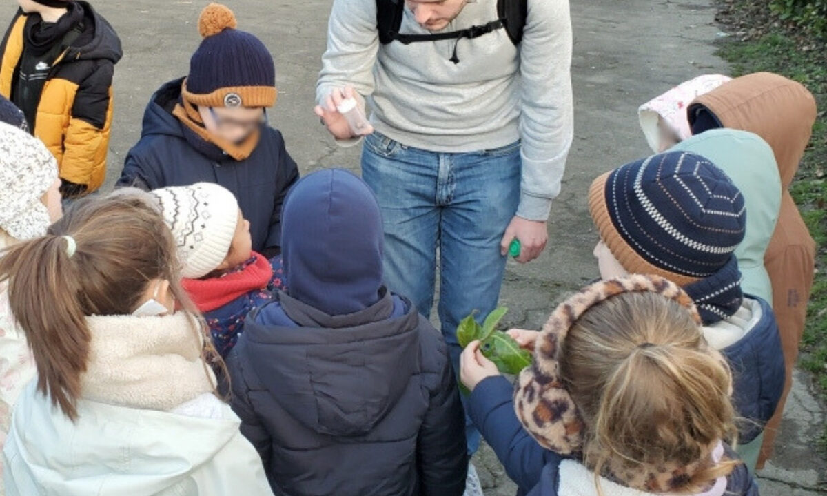 Découverte de la nature hivernale écolier FDC 50 et FRC Normandie