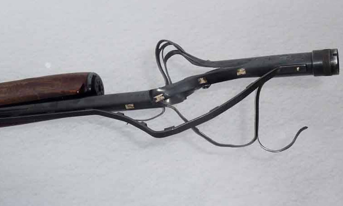 Fusil de chasse explosé