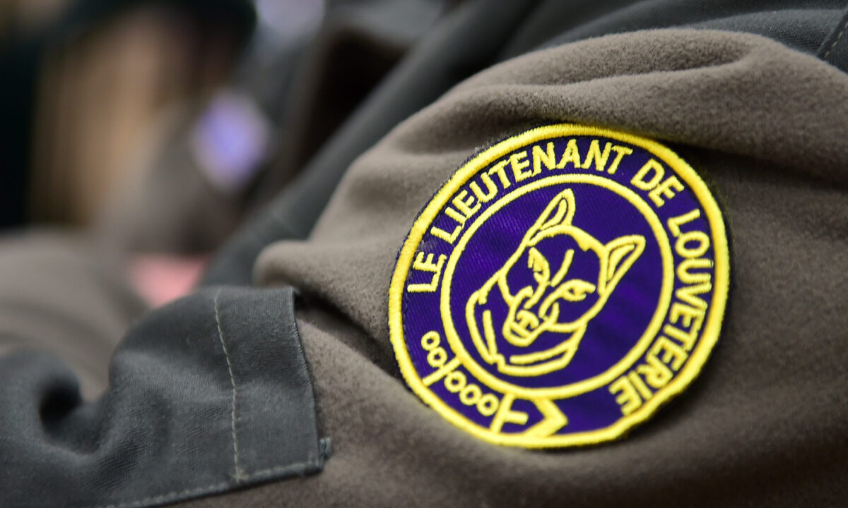 Lieutenant de louveterie