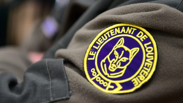 Bouches-du-Rhône : les effectifs de louvetiers renforcés face à la poussée des sangliers et du loup