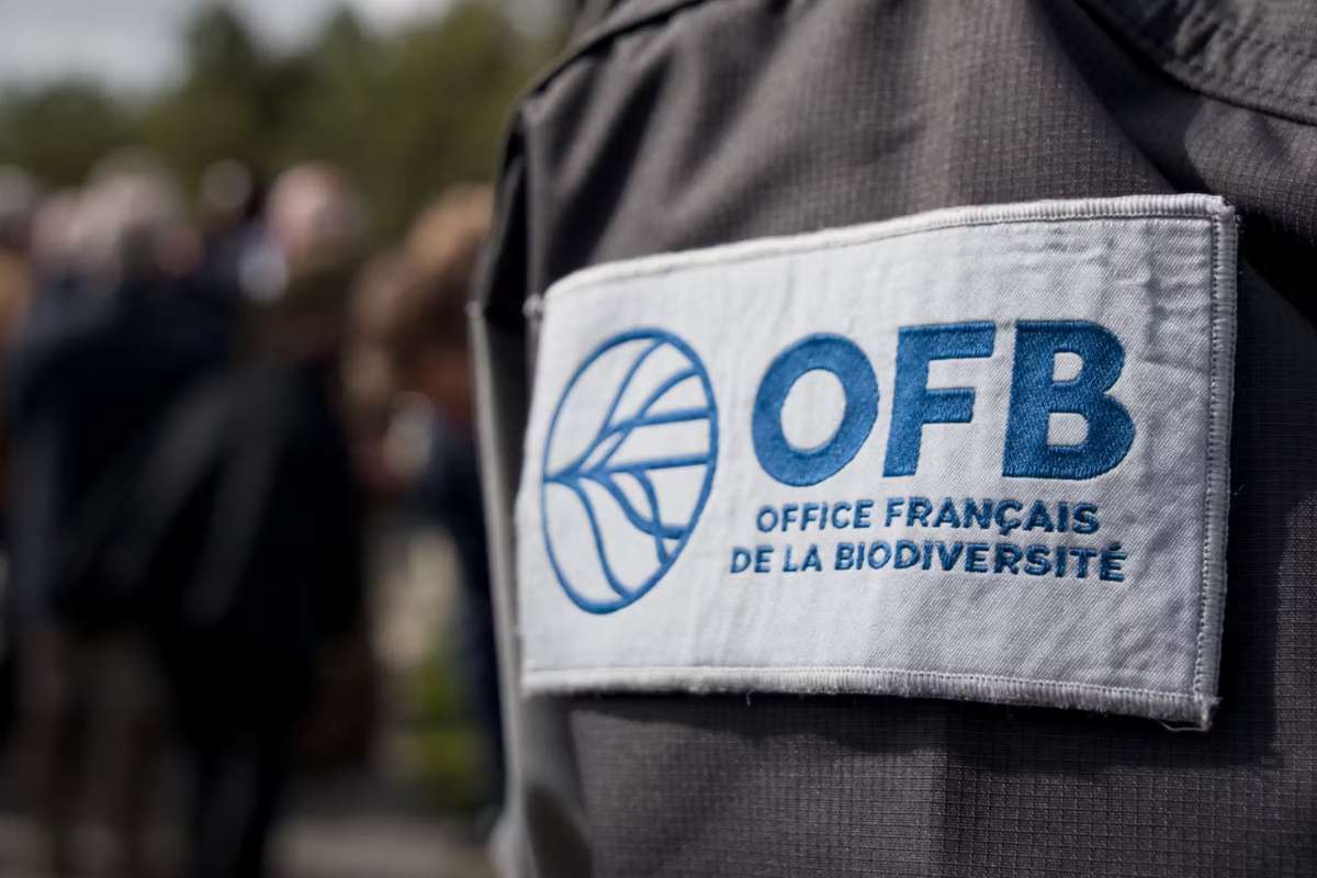 Ofbl En immersion filmée lors du contrôle d'un chasseur par l'OFB en Ille-et ...